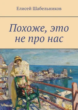 Елисей Шабельников Похоже, это не про нас обложка книги