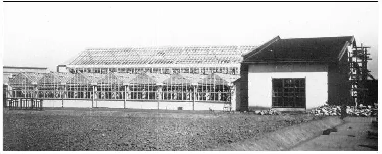 114 Оранжерея Субтропики была вредительски ориентирована на север - фото 125