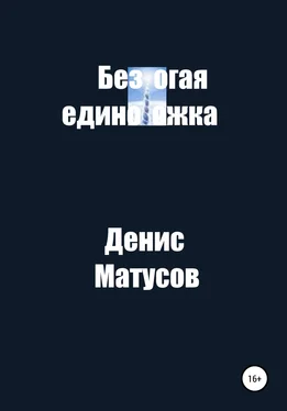 Денис Матусов Безрогая единорожка обложка книги