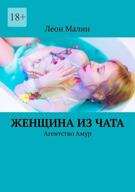 Леон Малин Женщина из чата. Агентство Амур обложка книги