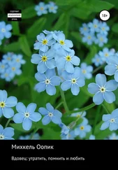 Михкель Оопик - Вдовец - утратить, помнить и любить