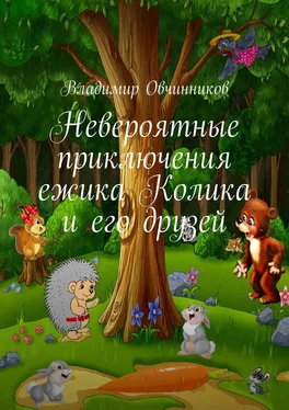 Владимир Овчинников Невероятные приключения ежика Колика и его друзей обложка книги