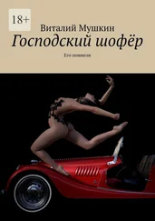 Виталий Мушкин - Господский шофёр. Его поимели