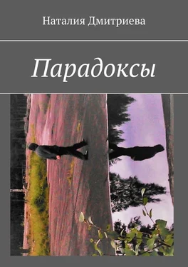 Наталия Дмитриева Парадоксы обложка книги