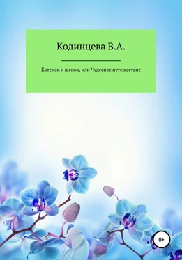 Василиса Кодинцева Котенок и щенок, или Чудесное путешествие обложка книги