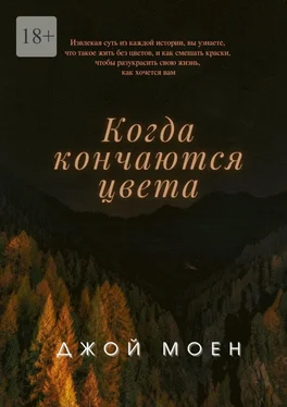 Джой Моен Когда кончаются цвета обложка книги