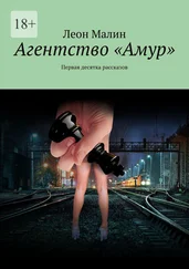 Леон Малин - Агентство «Амур». Первая десятка рассказов