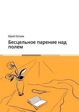 Юрий Катаев Бесцельное парение над полем обложка книги