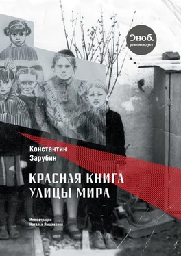 Константин Зарубин Красная книга улицы Мира. Повести и рассказы обложка книги