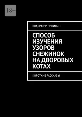 Владимир Липилин Способ изучения узоров снежинок на дворовых котах. Короткие рассказы обложка книги