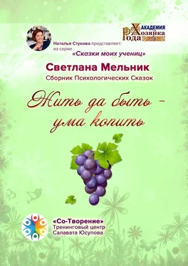 Светлана Мельник Жить да быть – ума копить. Сборник Психологических Сказок обложка книги