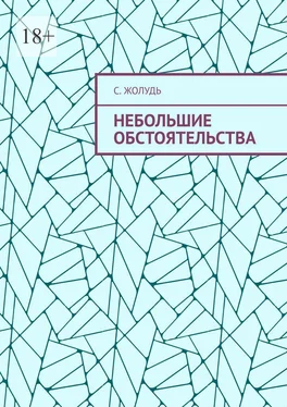 С. Жолудь Небольшие обстоятельства обложка книги