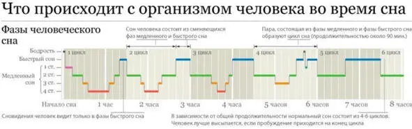 График 1 Стадии здорового сна человека Временная разбивка по стадиям сна см - фото 1