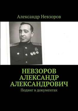 Александр Невзоров Невзоров Александр Александрович. Подвиг в документах обложка книги