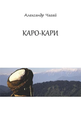 Александр Чагай Каро-Кари обложка книги