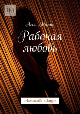 Леон Малин Рабочая любовь. Агентство «Амур» обложка книги