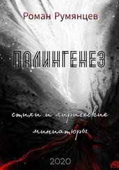 Роман Румянцев - Палингенез
