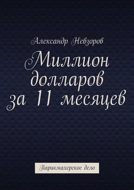 Александр Невзоров Миллион долларов за 11 месяцев. Парикмахерское дело обложка книги