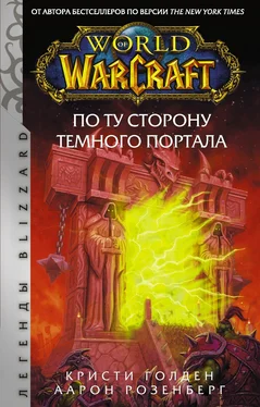 Кристи Голден World of Warcraft. По ту сторону Темного портала обложка книги