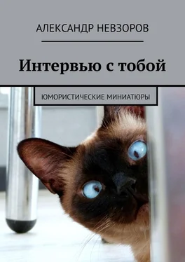 Александр Невзоров Интервью с тобой. Юмористические миниатюры обложка книги