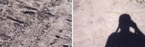 Виндли показал наглядно как меняется уровень освещения на фотографиях в - фото 24
