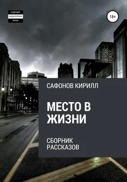 Кирилл Сафонов Место в жизни обложка книги