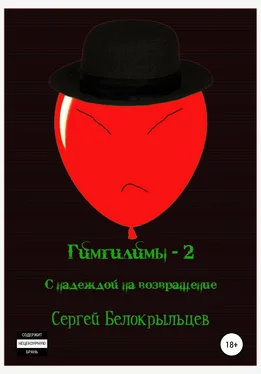 Сергей Белокрыльцев Гимгилимы-2: С надеждой на возвращение! обложка книги