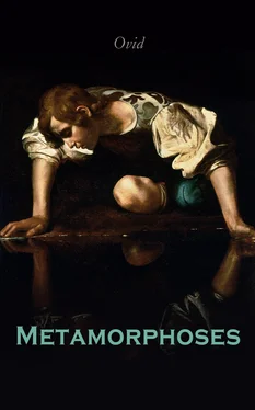 Ovid Metamorphoses обложка книги