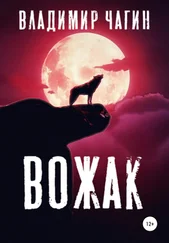 Владимир Чагин - Вожак