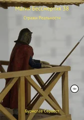Бурислав Сервест - Магия Бессмертия 38. Стражи Реальности
