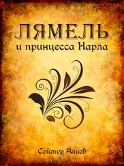 Сеймур Алиев - Лямель и принцесса Нарла