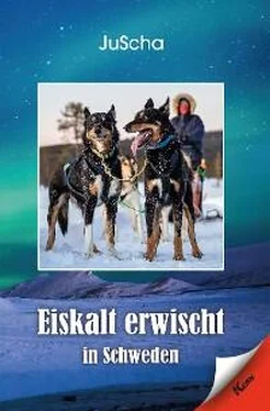 JuScha Eiskalt erwischt… in Schweden обложка книги