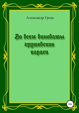 Александр Грош Во всем виноваты грушевские караси обложка книги