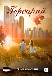 Юна Колесник - Гербарий