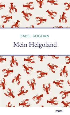 Isabel Bogdan Mein Helgoland обложка книги