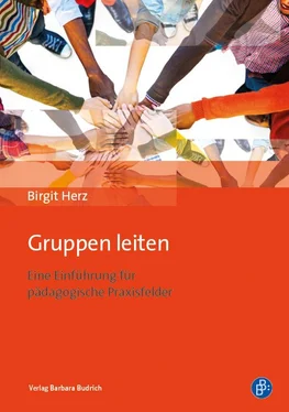 Birgit Herz Gruppen leiten обложка книги
