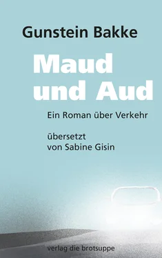 Gunstein Bakke Maud und Aud обложка книги