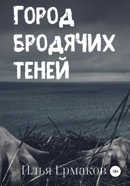 Илья Ермаков Город бродячих теней обложка книги