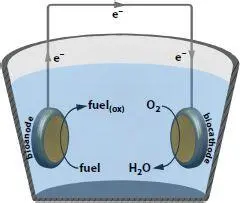 Figure 21 Schematic representation of a typical EFC In this chapter - фото 30