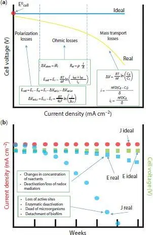 Figure 17 a Schematic representation of a polarization curve for an ideal - фото 13