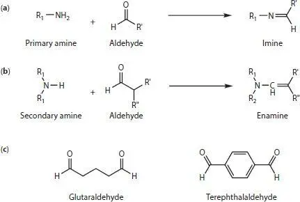 Figure 15 Reactions of a primary and b secondary amines with aldehydes - фото 10