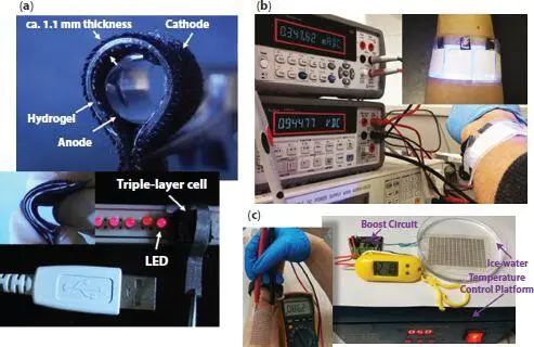 Figure 24 a Photograph of the biofuel cell sheet and LEDs connected with the - фото 33