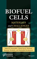 Biofuel Cells