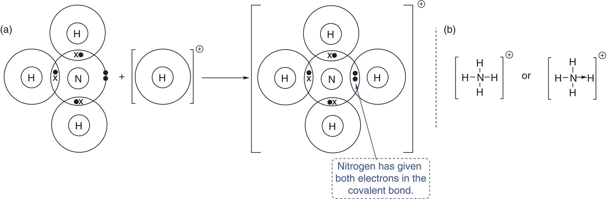 Figure 210a Bonding in the ammonium ion NH 4 Note only outershell - фото 108