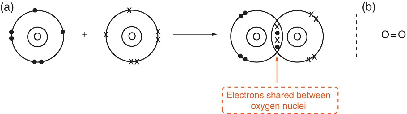 Figure 29a Formation of a double bond in oxygen O 2 b an alternative - фото 90