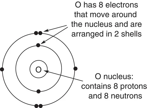 We have seen that each successive shell in an atom can hold an increasing - фото 60