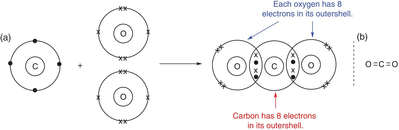 For all structures containing covalent bonds it is possible to work out the - фото 91