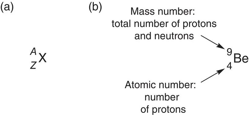 Figure 12a General representation of mass number and atomic number for the - фото 39