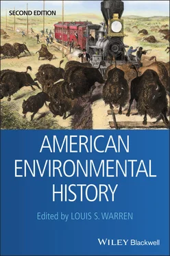Неизвестный Автор American Environmental History обложка книги