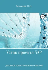 Наталия Михеева - Устав проекта SAP
